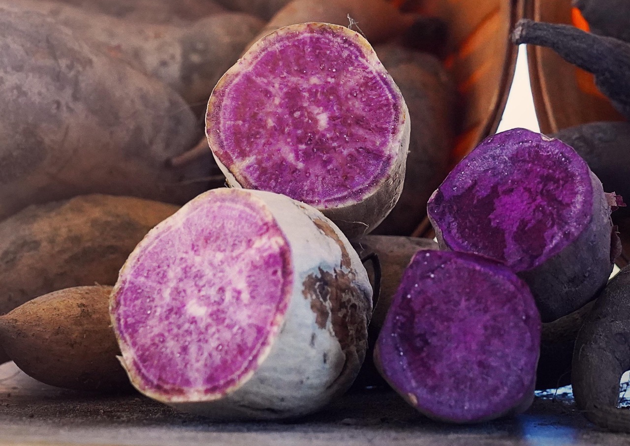 Pomme de terre violette